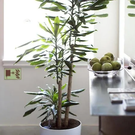 Apartment Be Mate Casa Di Bava Istanbul